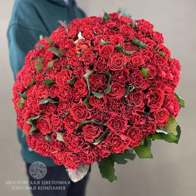 Роза Эль Торо, 40 см - заказать и купить цветы с доставкой | Donpion