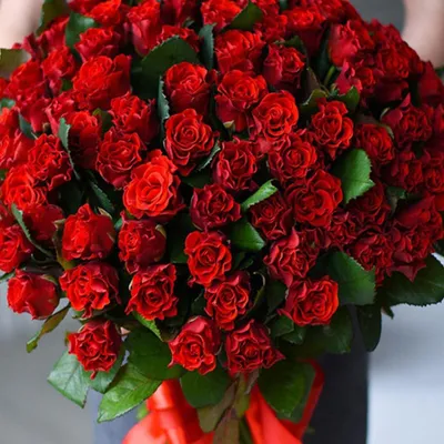 51 red roses El Toro | Flowerkiss