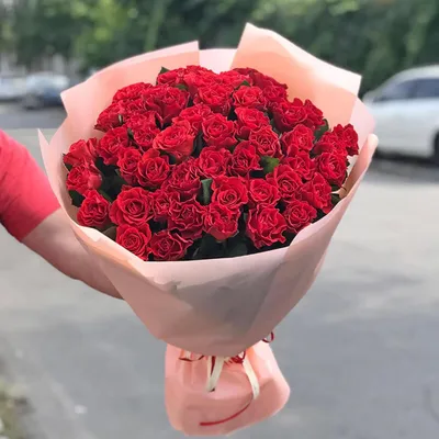 Саженцы розы Эль Торо купить | питомник Агро Бреза Украина Киев