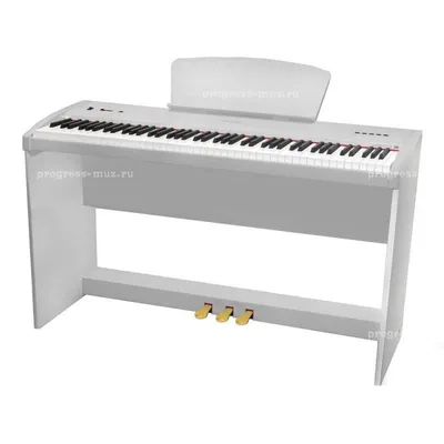 Цифровое пианино/ 88 клавишами и Bluetooth,черное - купить с доставкой по  выгодным ценам в интернет-магазине OZON (1335597339)