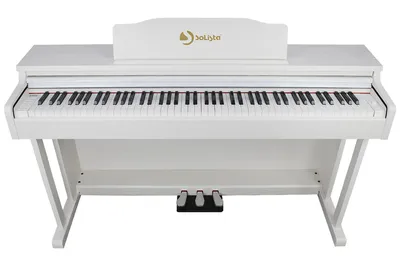 KORG XE20 Цифровое пианино взвешенная механика 88 клавиш - купить Цифровые  фортепиано и цифровые рояли
