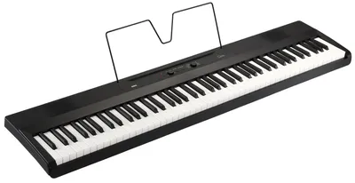 Хранение цифрового пианино в вертикальном положении - продажа музыкальных  инструментов