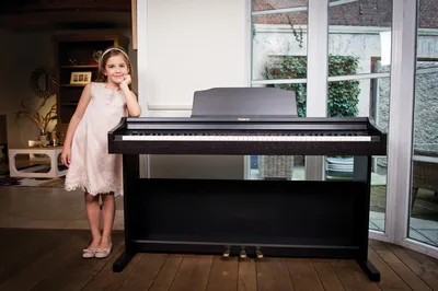 Купить Цифровое пианино KORG L1 BK по цене 49 000 руб. на официальном сайте  представителя Korg в Москве и России