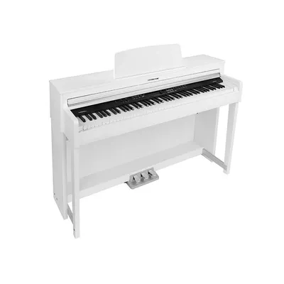Купить Цифровое пианино CASIO CDP-S160BK с бесплатной доставкой по Москве и  России в интернет – магазине Pop-music.ru