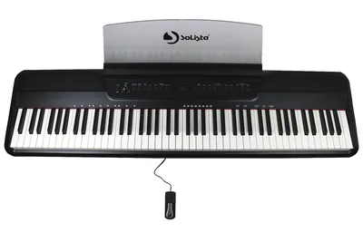 Medeli CP203 BK купить с гарантией снижения цены цифровое пианино в  интернет магазине Мир Музыки
