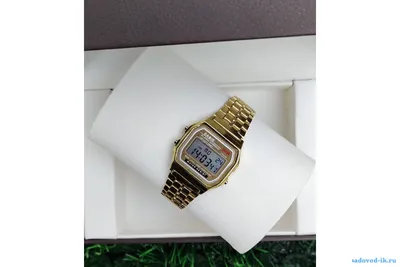 Купить Мужские электронные часы Casio до 8000 рублей в интернет каталоге с  доставкой | Boxberry