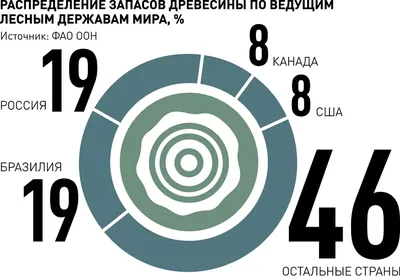 Акция в Дикси «Забирай Треснутого» с 6 ноября 2023 года – розыгрыш призов  через Диски-Бот