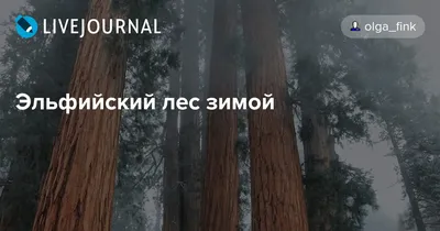 Эльфийский лес / Лилла Сомн