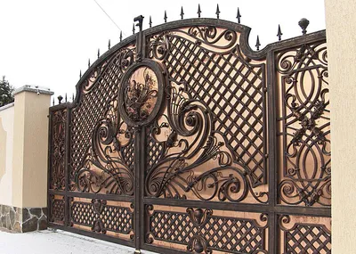Элитные кованые ворота фото фото