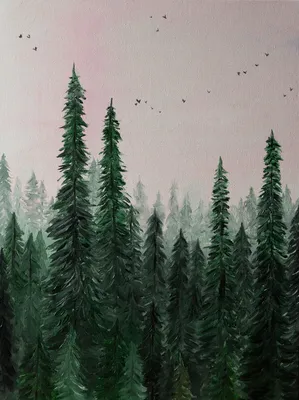 Сосновый лес 8463-М фотообои на флизелиновой основе 660 руб Фотообои 1  полоса Фотообои на флизелине - Магазин «Дом обоев» Московской Обойной  Фабрики