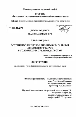 Эндометрит у коров: как справиться с болезнью и не допустить потерь молока  | NoviStem 🧬 Новистем | Дзен