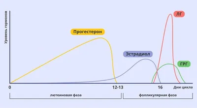 Распространение и этиология маститов и эндометритов у коров