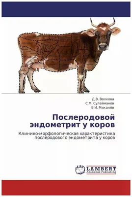 Чем чаще всего болеют коровы? Топ-5 распространенных болезней у КРС |  Рассказывает и показывает Фармакс | Дзен