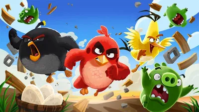 Красный кардинал: Та самая птичка из Angry Birds. И она реально оказалась  безумной! | Пикабу