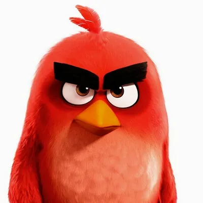 голубая иллюстрация Angry Bird, Angry Birds Stella Angry Birds Friends  Голубая сойка, Angry Birds, птица, Angry Birds Movie, Angry Birds png |  PNGWing
