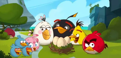 Разработчик игры Angry Birds решил удалить ее из Google Play | РБК Life