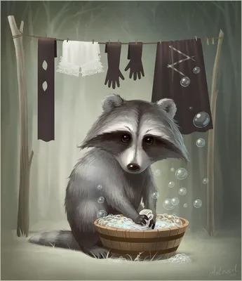 енот-полоскун | Animal illustration art, Raccoon illustration, Raccoon art