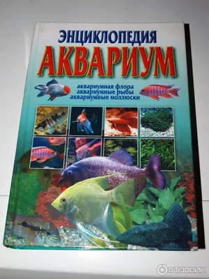 Энциклопедия атлас аквариумных рыб: 499 грн. - Книги / журналы Днепр на Olx