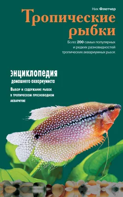 Какие виды аквариумных рыбок лучше заводить? Посмотреть виды аквариумных  рыбок с фото.