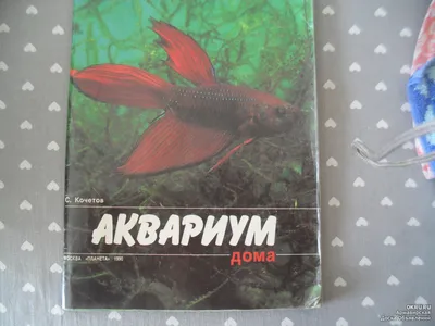 Энциклопедия: Аквариум — купить книги на русском языке в Польше на  Booksrus.pl