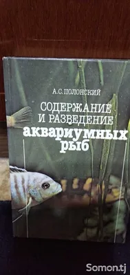 Какие виды маленьких аквариумных рыбок существуют? Где купить маленьких  рыбок по низкой цене? | Ногинск