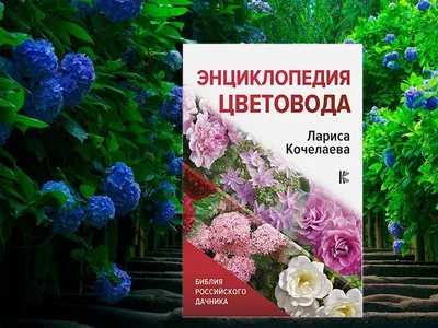 Энциклопедия цветовода. Лариса Кочелаева | MasterJournal.ru Новостной  портал о рукоделии