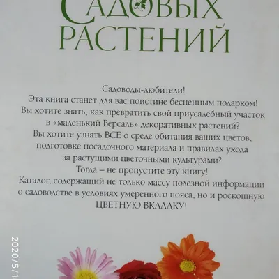 5 цветущих многолетников августа для самого яркого завершения сезона.  Названия,описания, фото — Ботаничка