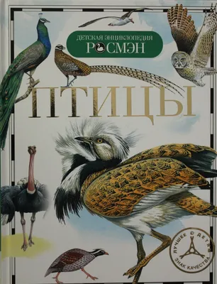 Птицы. Энциклопедия для детского сада - УМНИЦА