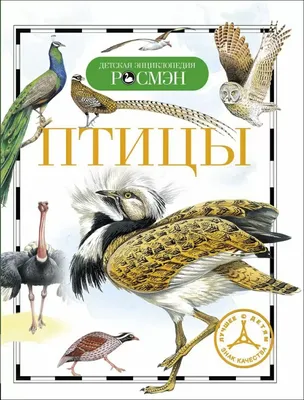 Птицы. Самая полная энциклопедия: купить книгу в Алматы | Интернет-магазин  Meloman