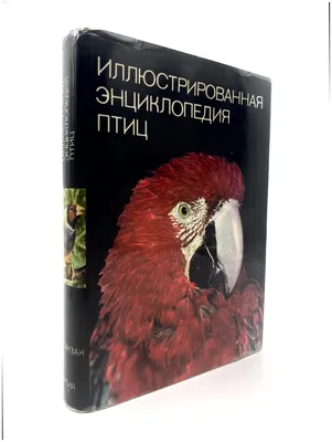 Харвест Книга большая энциклопедия для детей школьников Птицы
