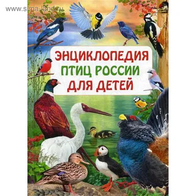 Птицы. Полная энциклопедия Юлия Школьник - купить книгу Птицы. Полная  энциклопедия в Минске — Издательство Эксмо на OZ.by