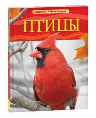 Птицы. Детская энциклопедия – купить по лучшей цене на сайте издательства  Росмэн