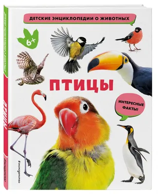 Птицы. Энциклопедия - купить книгу Птицы. Энциклопедия в Минске —  Издательство АСТ на OZ.by