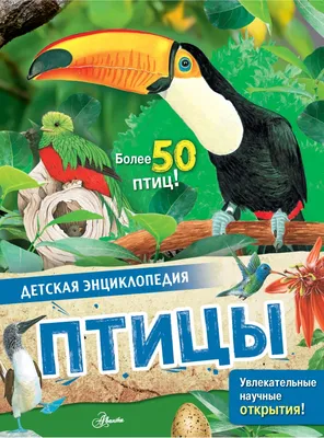 Книга \"Птицы\" МакРей Э - купить в Германии | BOOQUA.de