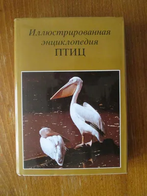 Птицы. Полная энциклопедия, Юлия Школьник | Доставка по Европе