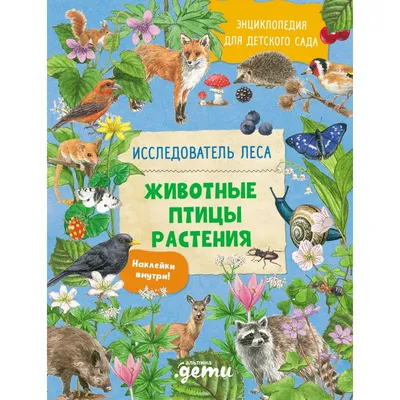 Птицы. Энциклопедия - купить книгу Птицы. Энциклопедия в Минске —  Издательство АСТ на OZ.by