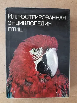 Иллюстрация 8 из 11 для Всемирная энциклопедия птиц - Дэвид Элдертон |  Лабиринт - книги. Источник: ---Ник