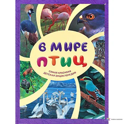 Энциклопедия АСТ Птицы книжка с наклейками купить по цене 22.1 руб. в  интернет-магазине Детмир