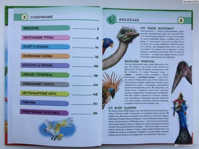 The Pictorial Encyclopedia of Birds энциклопедия птиц in Russian Jan Hanzák  | eBay