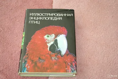 В мире птиц. Самая красивая детская энциклопедия, , АСТ купить книгу  978-5-17-052830-1 – Лавка Бабуин, Киев, Украина