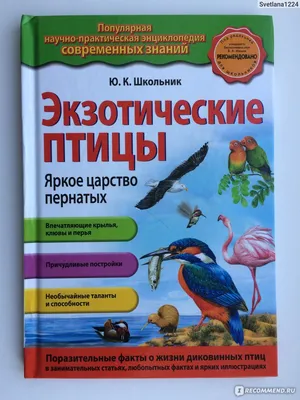 Энциклопедия АСТ Детская энциклопедия Птицы купить по цене 352 ₽ в  интернет-магазине Детский мир