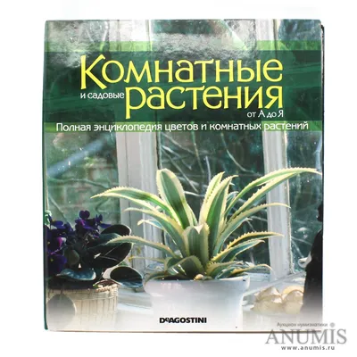 Цветы Самая первая энциклопедия | Приморский Торговый Дом Книги