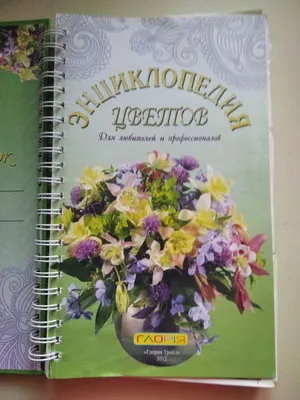 Книга \"Цвет. Энциклопедия. Вдохновляющие цветовые решения для интерьера  вашего дома\" Стармер А - купить книгу в интернет-магазине «Москва» ISBN:  978-5-389-14452-1, 943204