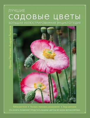 Лучшие садовые цветы. Большая иллюстрированная энциклопедия, Андрей Лысиков  – скачать pdf на ЛитРес