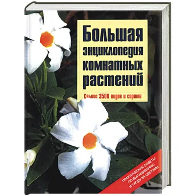 Энциклопедия АСТ Цветы и растения купить по цене 488 ₽ в интернет-магазине  Детский мир