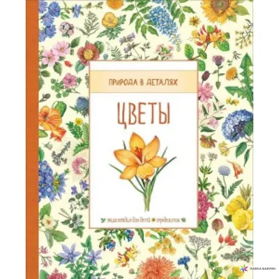 Н. Ю. Васнецова. Иллюстрированная энциклопедия комнатных растений. Товар  уцененный — купить в интернет-магазине по низкой цене на Яндекс Маркете