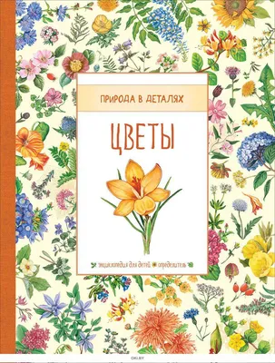 Цветы: энциклопедия для детей. (Природа в деталях). Роджерс К., Хан С.  Росмэн, , Росмэн купить книгу 978-5-353-08373-3 – Лавка Бабуин, Киев,  Украина