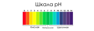 Причины акне / «Косметологическая клиника Акне»