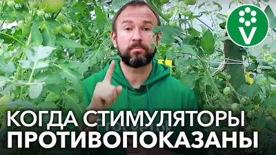 Регулятор роста антистрессовый Эпин Экстра 1 мл - купить Киеве, Стимуляторы  роста растений в интернет-магазине Agreemarket