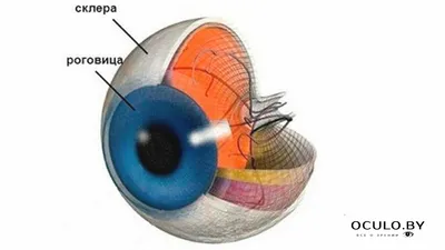 Герпетический кератит